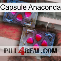 Anaconda Capsule 15